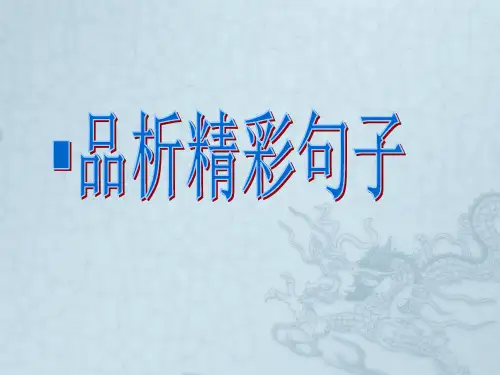 中考语文阅读理解考点-句子赏析(精)