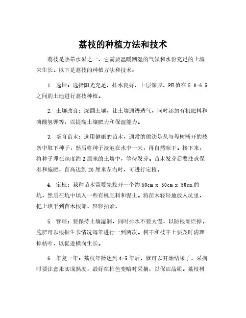 荔枝的种植方法和技术