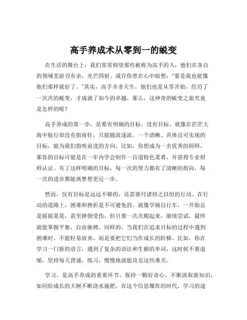 高手养成术从零到一的蜕变