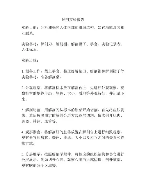 解剖实验报告