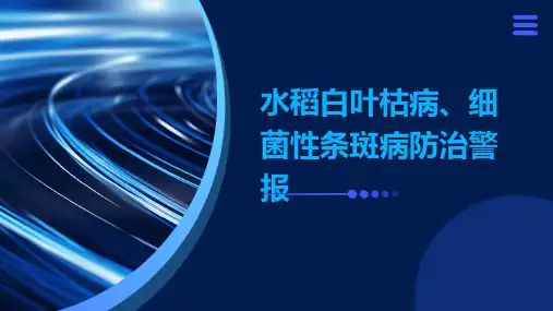 水稻白叶枯病、细菌性条斑病防治警报