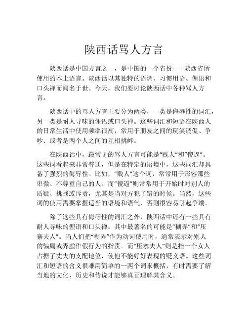 陕西话骂人方言