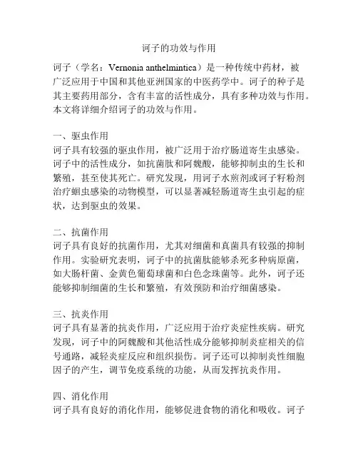 诃子的功效与作用