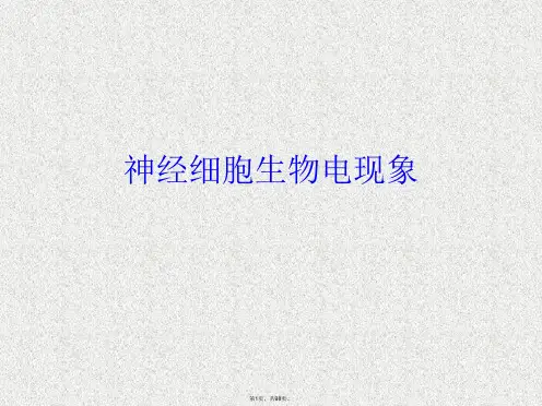 神经细胞生物电现象
