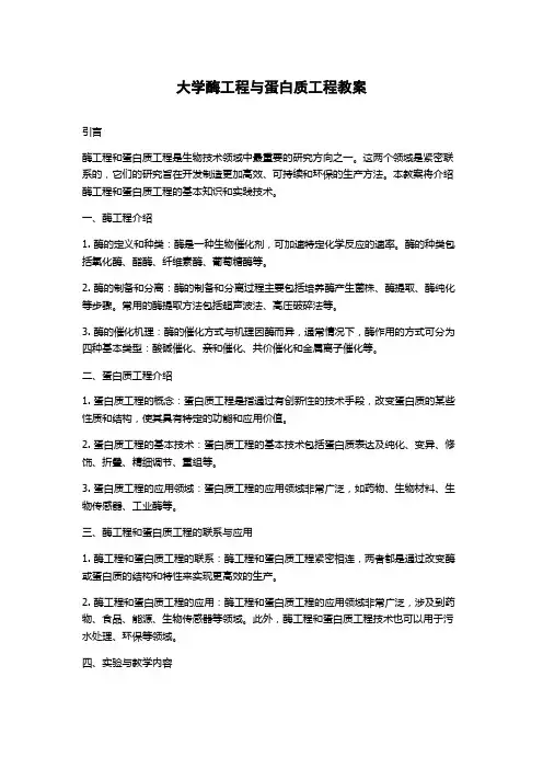 大学酶工程与蛋白质工程教案