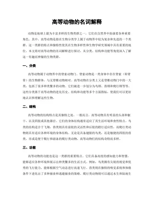 高等动物的名词解释