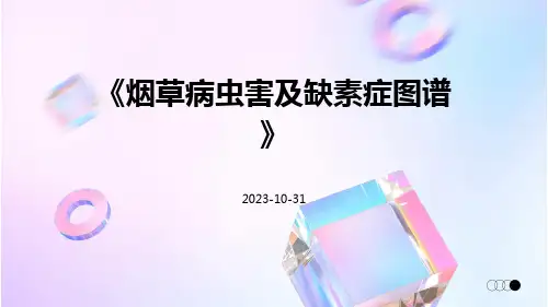 烟草病虫害及缺素症图谱