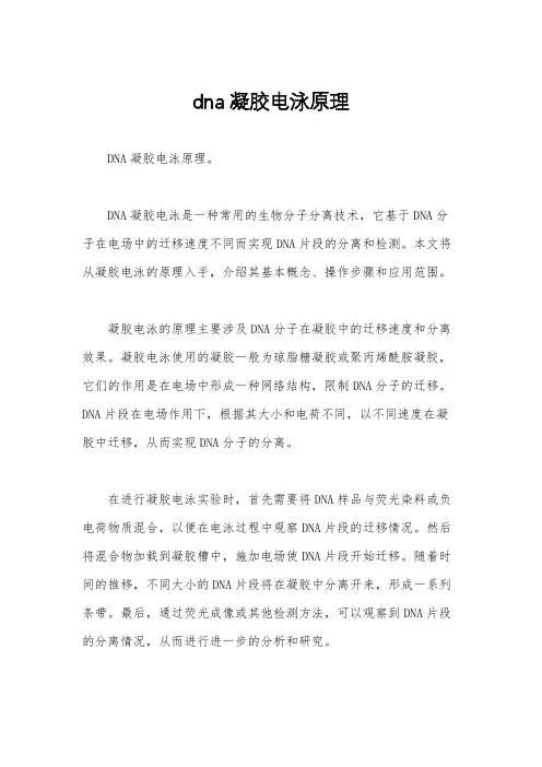 dna凝胶电泳原理