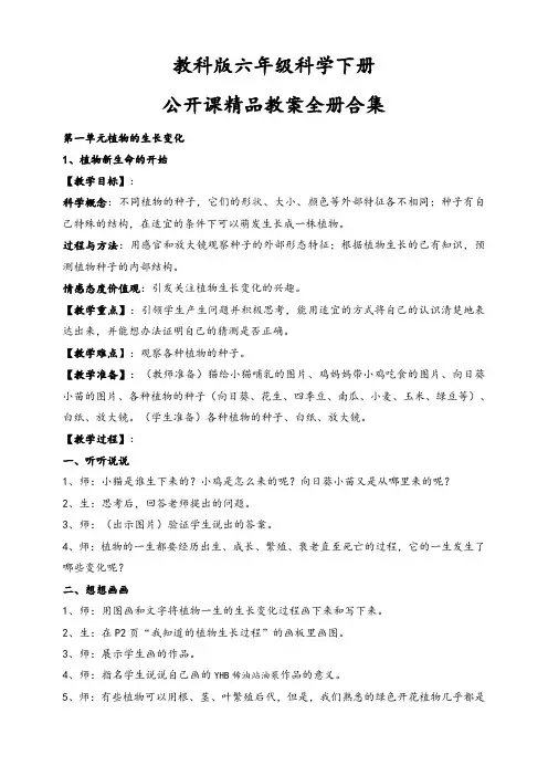 教科版六年级科学下册公开课精品教案全册合集