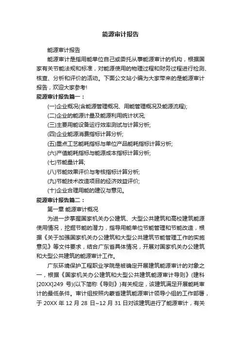 能源审计报告