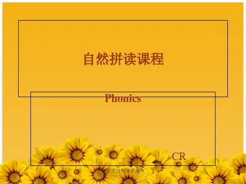 英语自然拼读课件