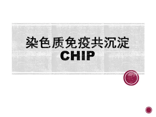 CHIP--YJH