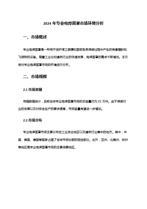 2024年专业电焊面罩市场环境分析