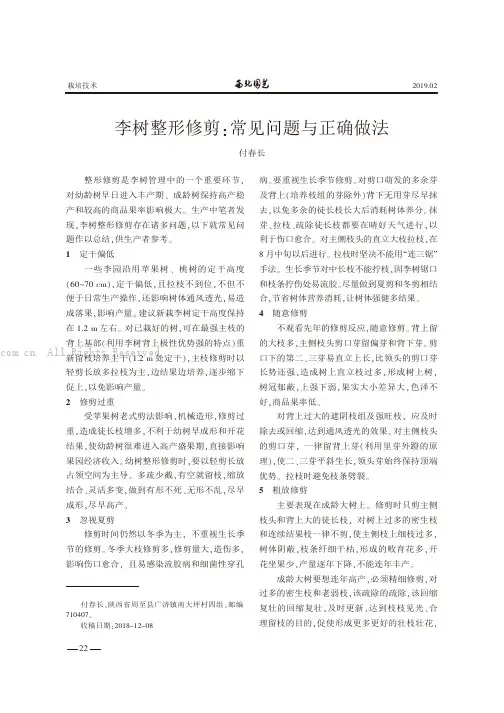 李树整形修剪：常见问题与正确做法
