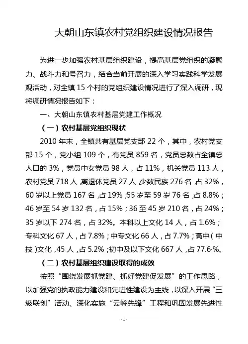 大朝山东镇农村党组织建设情况调研报告