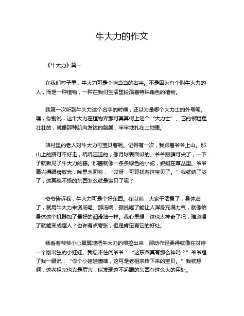 牛大力的作文