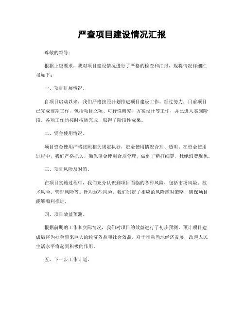 严查项目建设情况汇报