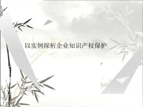 以实例探析企业知识产权保护ppt课件
