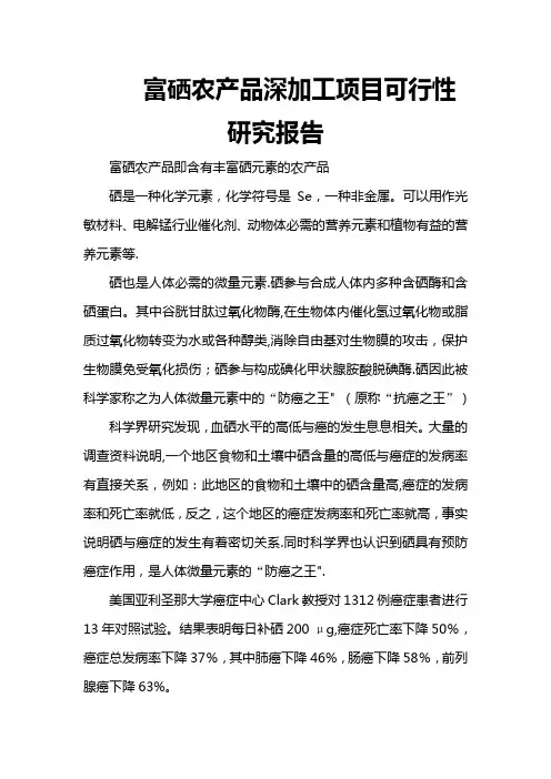 富硒农产品深加工项目可行性研究报告
