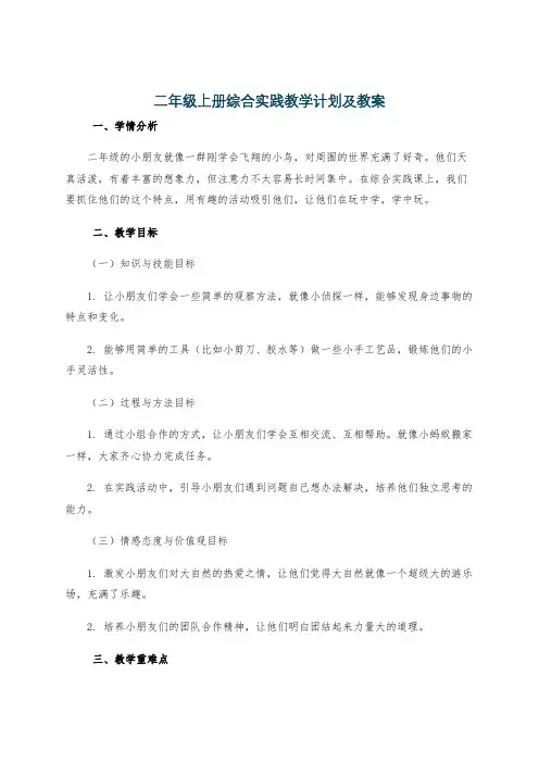 二年级上册综合实践教学计划及教案