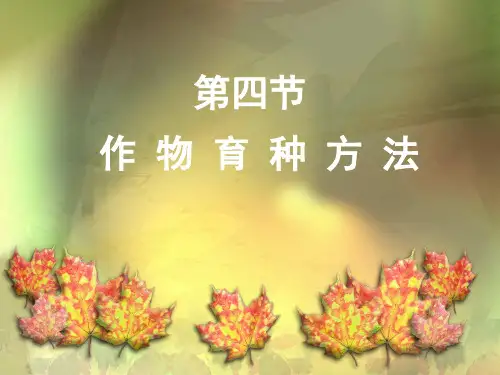 作物育种方法