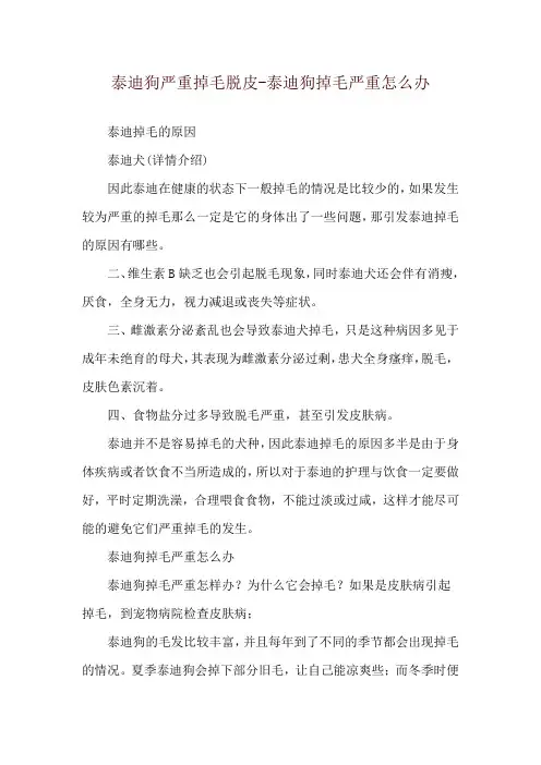 泰迪狗严重掉毛脱皮-泰迪狗掉毛严重怎么办