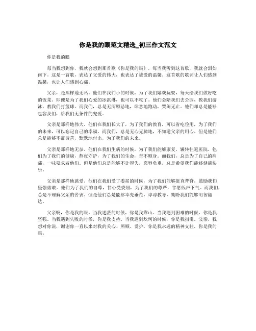 你是我的眼范文精选_初三作文范文
