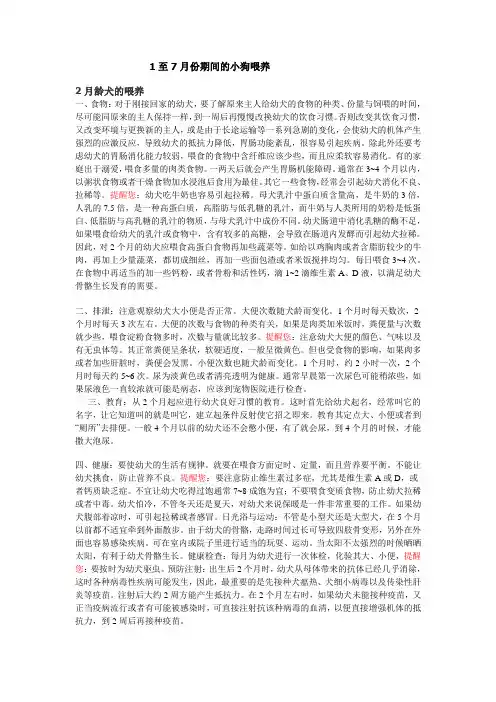 1至7月份期间的小狗喂养