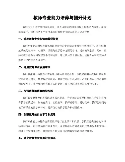 教师专业能力培养与提升计划