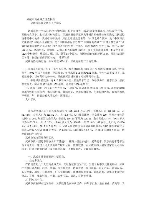 武威市商圈调查报告