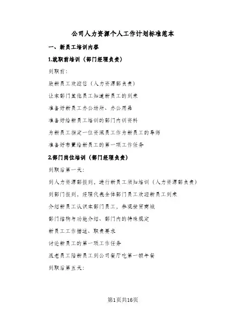 公司人力资源个人工作计划标准范本（五篇）
