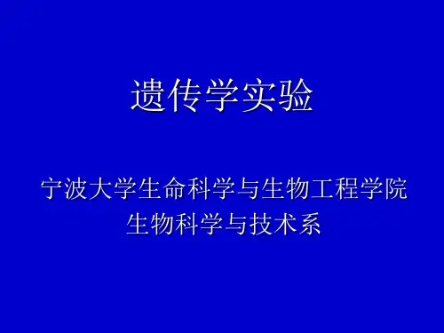 遗传学实验