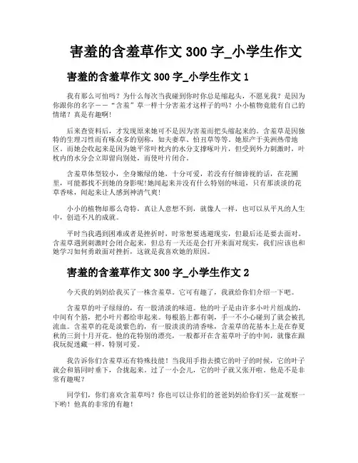 害羞的含羞草作文300字小学生作文