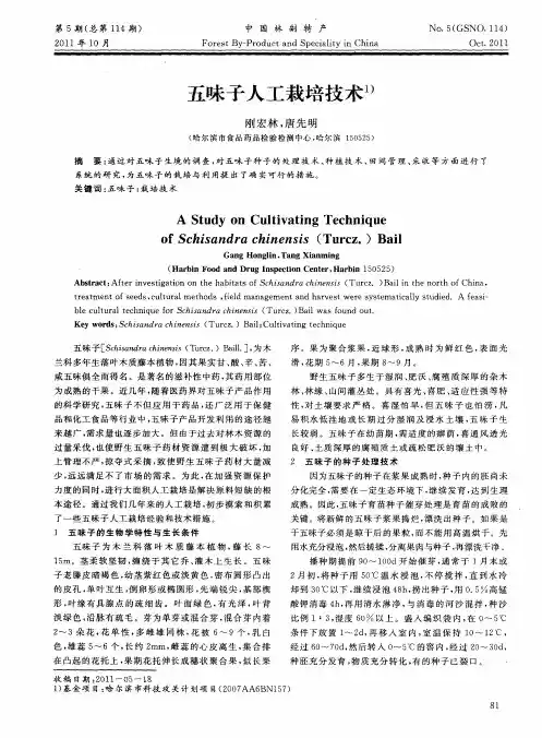 五味子人工栽培技术