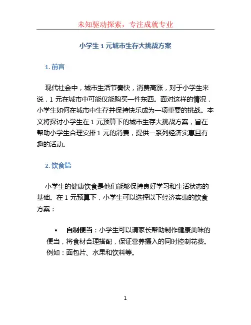 小学生1元城市生存大挑战方案 (11)