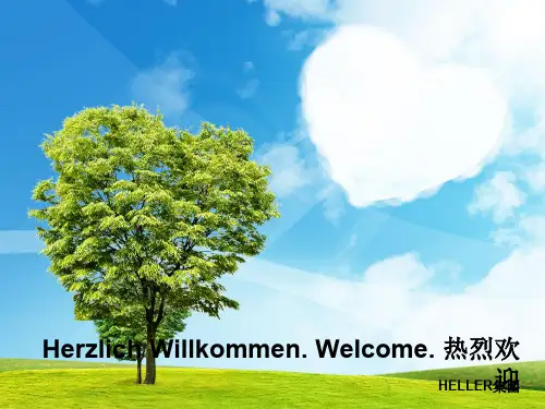 HELLER公司介绍