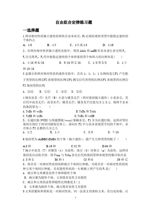 自由组合定律练习题