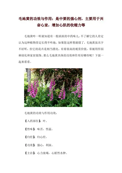毛地黄的功效与作用：是中要的强心剂,主要用于兴奋心室,增加心肌的收缩力等