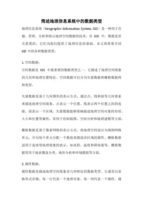 简述地理信息系统中的数据类型