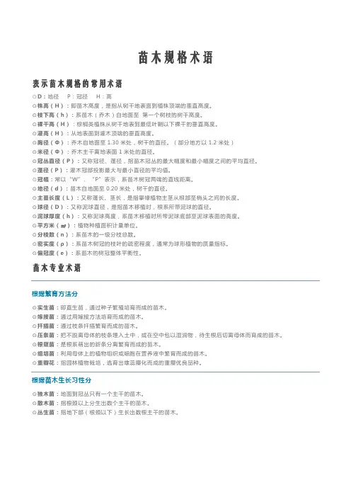 苗木规格术语