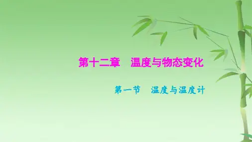物理九级上册作业课件：第一节 温度与温度计(共14张PPT)