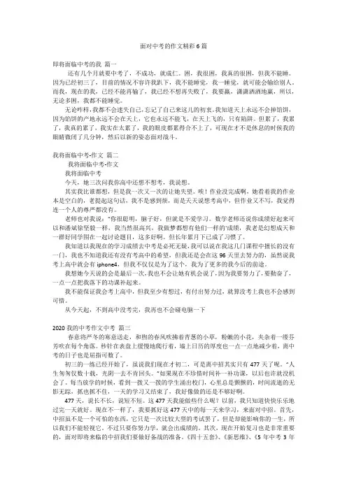 面对中考的作文精彩6篇