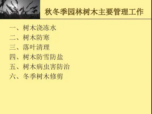 ppt秋冬季主要园林树木养护