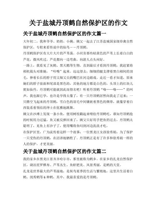 关于盐城丹顶鹤自然保护区的作文