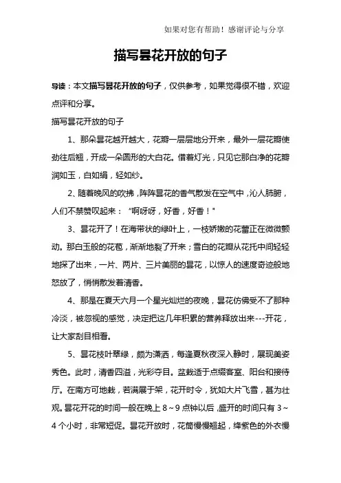 描写昙花开放的句子