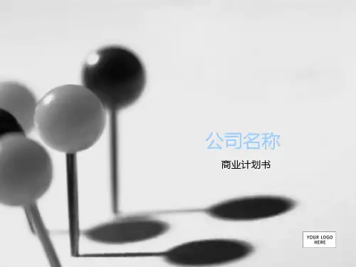 商业计划书中文版(business-plan-presentation)