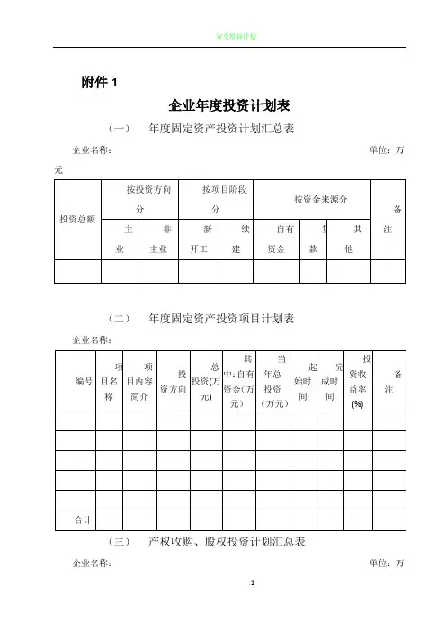 企业年度投资计划表
