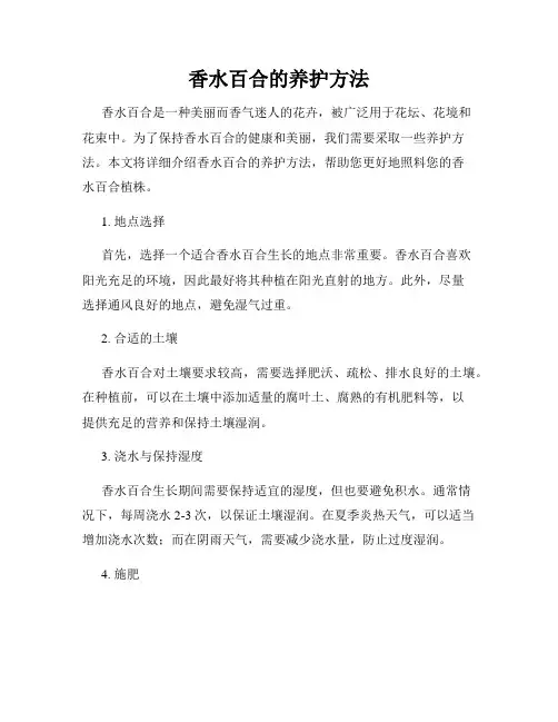 香水百合的养护方法