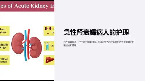 急性肾衰竭病人的护理