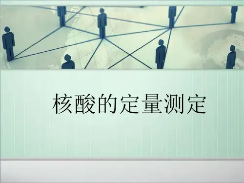 核酸的定量测定